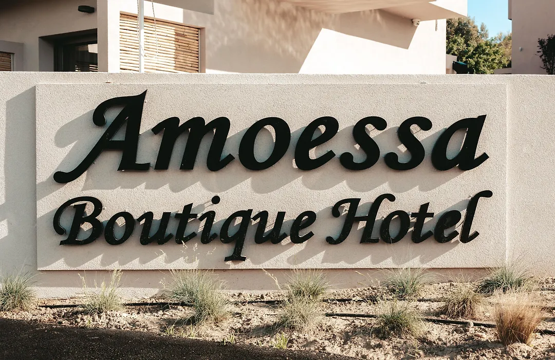Amoessa Boutique - Adults Only-1